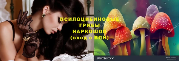 гашик Алексин