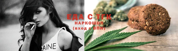 гашик Алексин