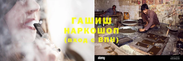 гашик Алексин
