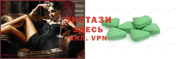 гашик Алексин