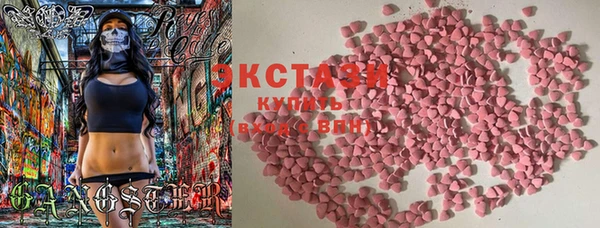 гашик Алексин