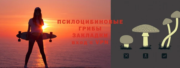сатива Алексеевка