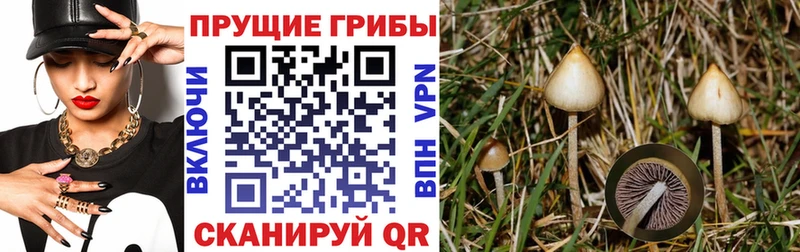 Псилоцибиновые грибы Magic Shrooms  гидра   Павловская  наркошоп 